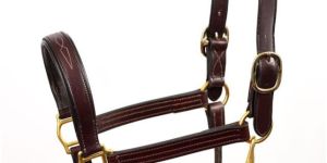 Leather Halters