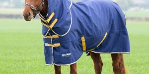 Lightweight Horse Stable Rugs