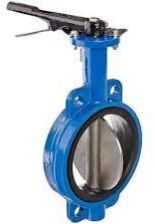 Cast Iron Body Butterfly Valve