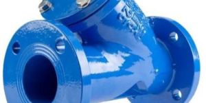 Cast Iron Y Type Strainer