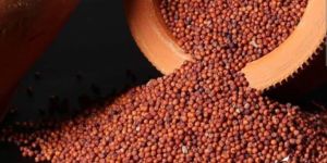 Red Ragi Seeds