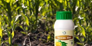 Paripurn Pure Neem Oil