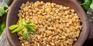 Fenugreek Seeds
