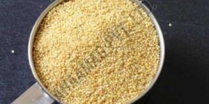 Foxtail Millet Seeds
