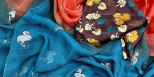 Embroidered Jimmy Choo Saree