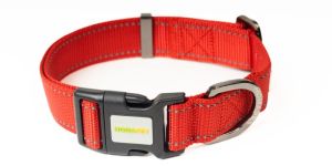 Dog Collars