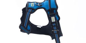 Dog Harness