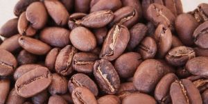 Arabica Coffee