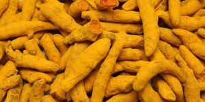 Turmeric Finger