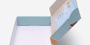 Printed E-Flute Carton Box