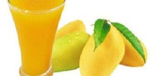 Aseptic Totapuri Mango Concentrate
