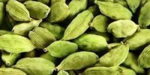 Green Cardamom