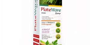 WellWare PlateWare -Carica Papaya Leaf Extract Syrup -200 ML