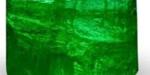 Natural Emerald 11.84 Carat Gemstone