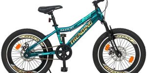 TRENDING Boy Bicycle 20T