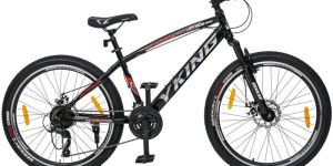 Y-KING MULTI-SPEED Mens Bicycles 24T