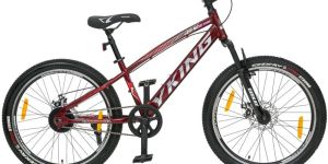 Y-KING SINGLE SPEED Mens Bicycle 24T