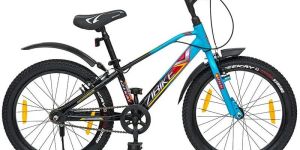 ZIBIKE Boys Bicycle 20T