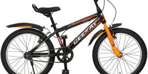 ZIPRIDE Boy Bicycle 20T
