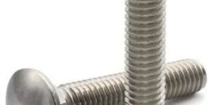 SS Carriage Bolts