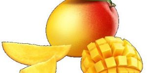 Sindhura Mango Puree