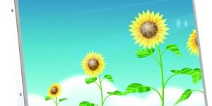 12 Digital Signage Photo Frame