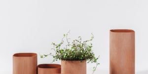 decorative flower plants pots