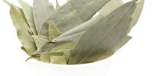 Bay Leaf Tej Patta