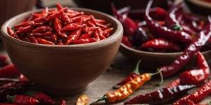 Dry Red Chilli