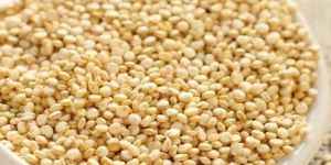 Quinoa Seeds