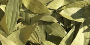 Bay Leaf ( Tej Patti )