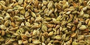 Carom Seeds