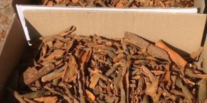Cinnamon Broken