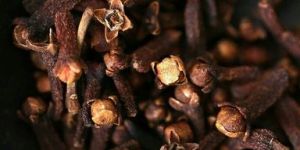Cloves