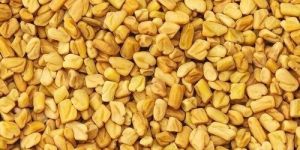 Fenugreek Seeds