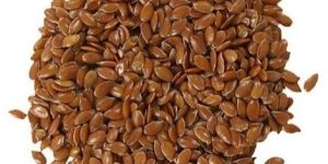 Flax Seeds