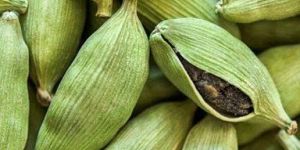 Green Cardamom