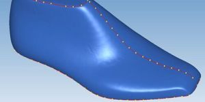 Shoe Master Software