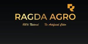 Organic Turmeric Powder / Haldi