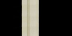 Vertical Bucket Elevator