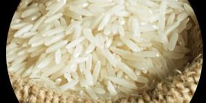 Basmati Paddy PB1