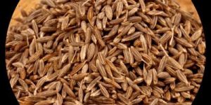 Brown Cumin Seed