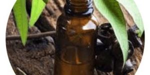 Eucalyptus Oil (Eucalyptus Globulus)