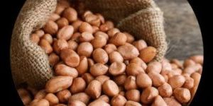 Groundnuts/ Peanuts