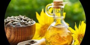 Sunflower Oil