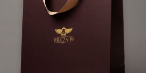 Gold Foil Printed Paper Bag