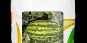 Supreme F-1 Hybrid Watermelon Seeds