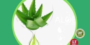 aloe barbadensis aloe vera extract