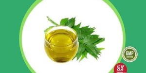 Azadirachta Indica Extract