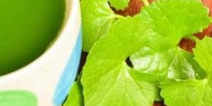 centella asiatica brahmi extract
